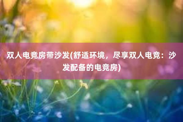 双人电竞房带沙发(舒适环境，尽享双人电竞：沙发配备的电竞房)