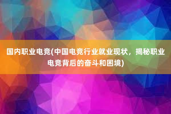 国内职业电竞(中国电竞行业就业现状，揭秘职业电竞背后的奋斗和困境)