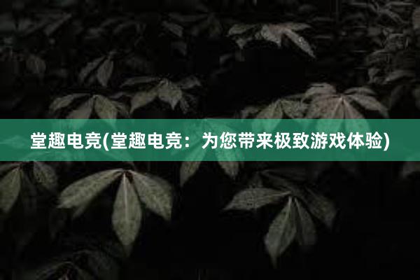 堂趣电竞(堂趣电竞：为您带来极致游戏体验)