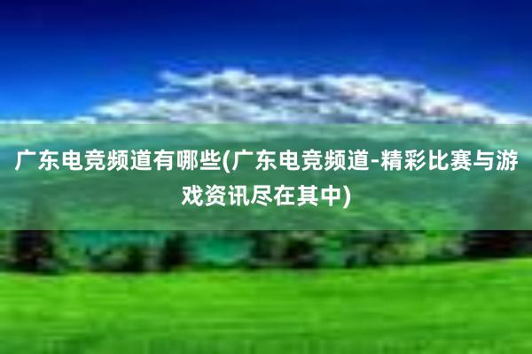 广东电竞频道有哪些(广东电竞频道-精彩比赛与游戏资讯尽在其中)