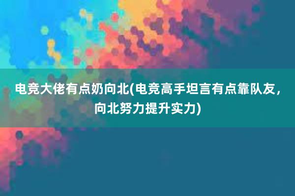 电竞大佬有点奶向北(电竞高手坦言有点靠队友，向北努力提升实力)