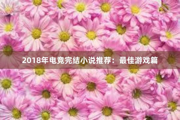 2018年电竞完结小说推荐：最佳游戏篇