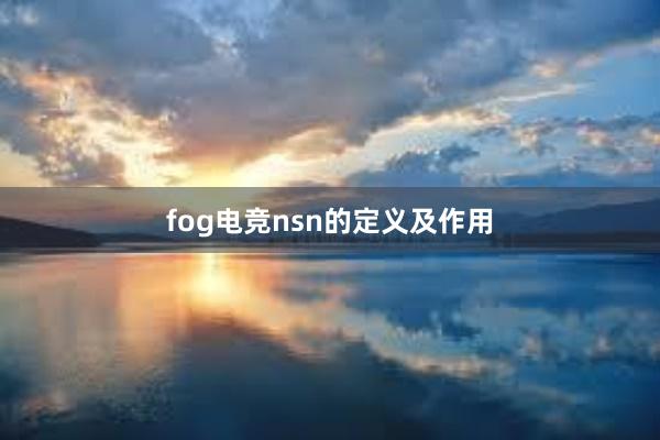 fog电竞nsn的定义及作用