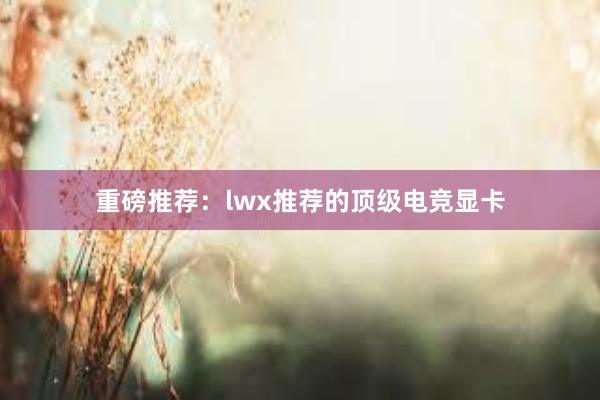 重磅推荐：lwx推荐的顶级电竞显卡