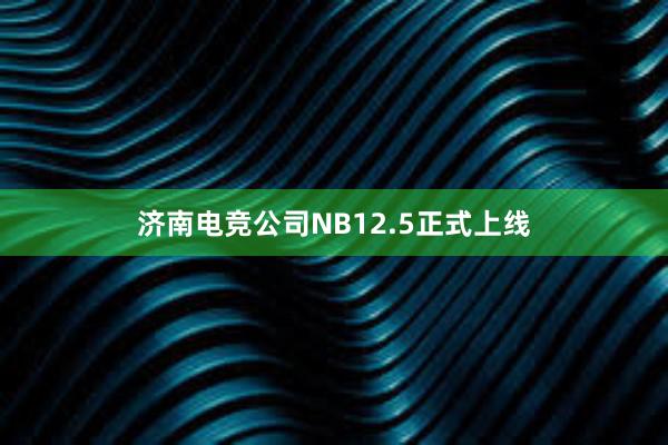 济南电竞公司NB12.5正式上线