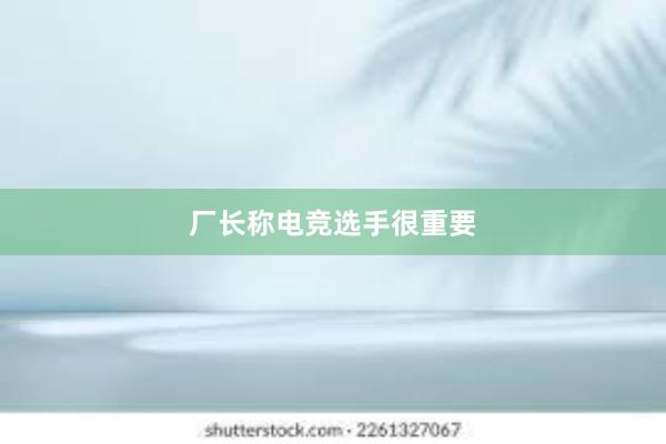 厂长称电竞选手很重要