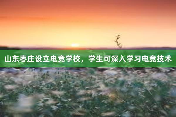 山东枣庄设立电竞学校，学生可深入学习电竞技术