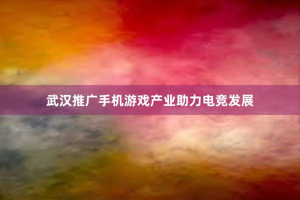 武汉推广手机游戏产业助力电竞发展