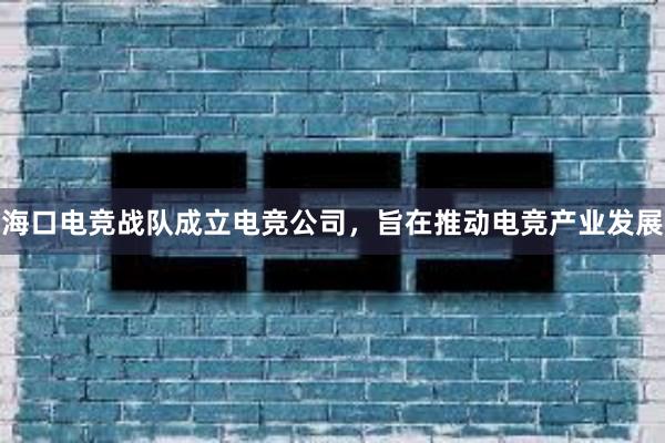 海口电竞战队成立电竞公司，旨在推动电竞产业发展