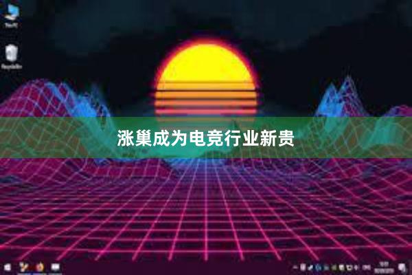 涨巢成为电竞行业新贵