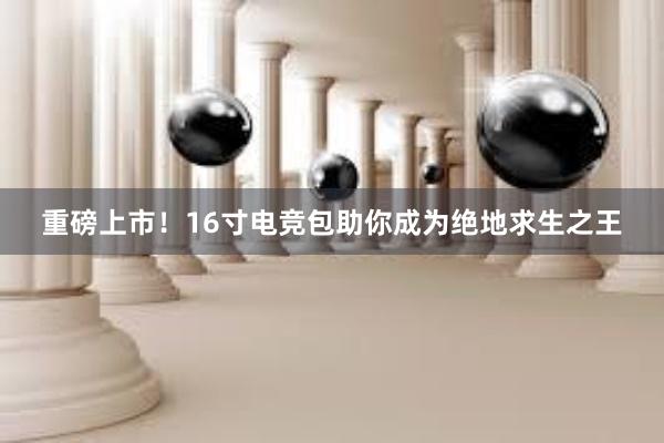 重磅上市！16寸电竞包助你成为绝地求生之王