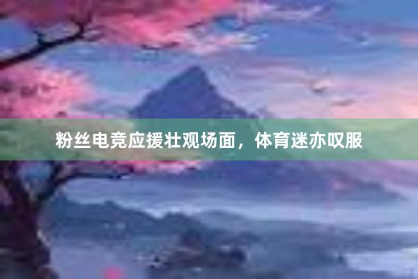 粉丝电竞应援壮观场面，体育迷亦叹服