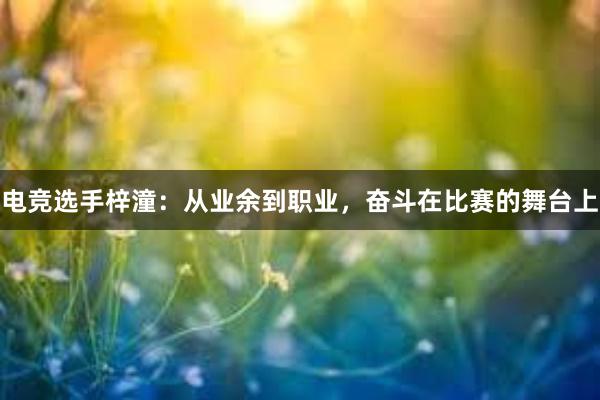 电竞选手梓潼：从业余到职业，奋斗在比赛的舞台上